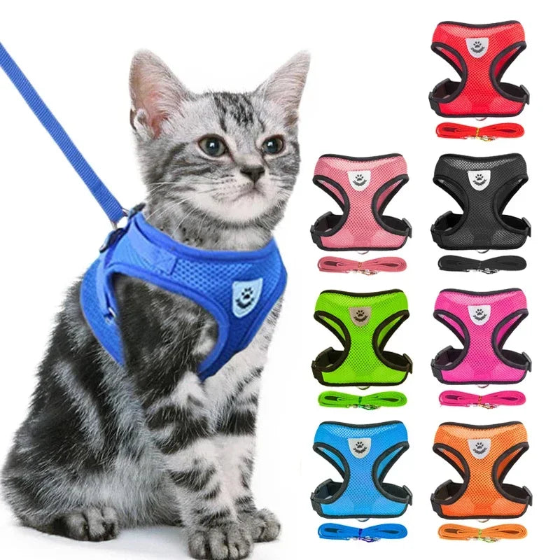 Pawsentials