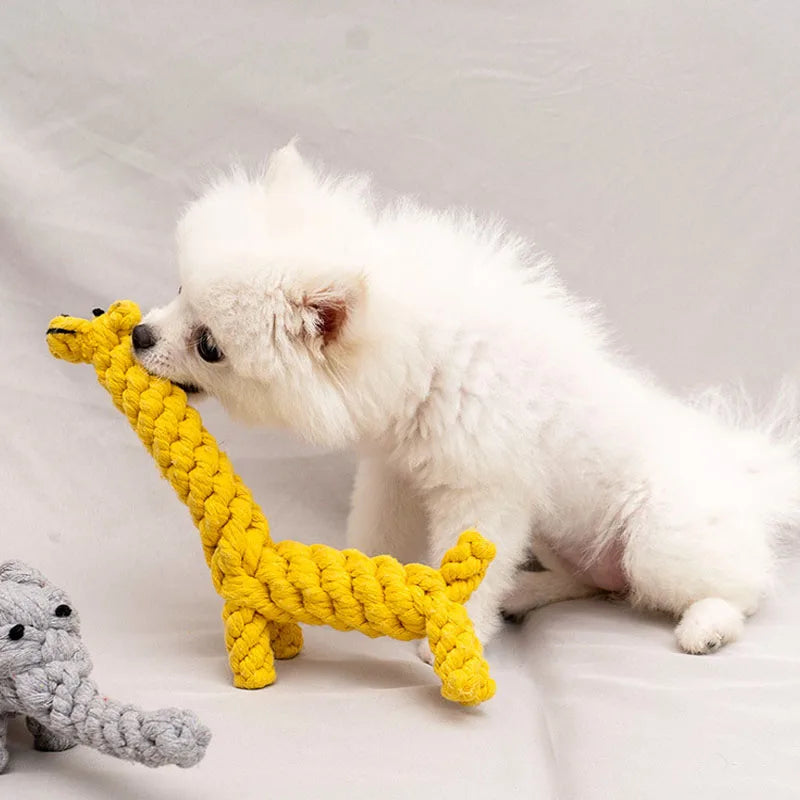 Knotty Fun Rope Ball