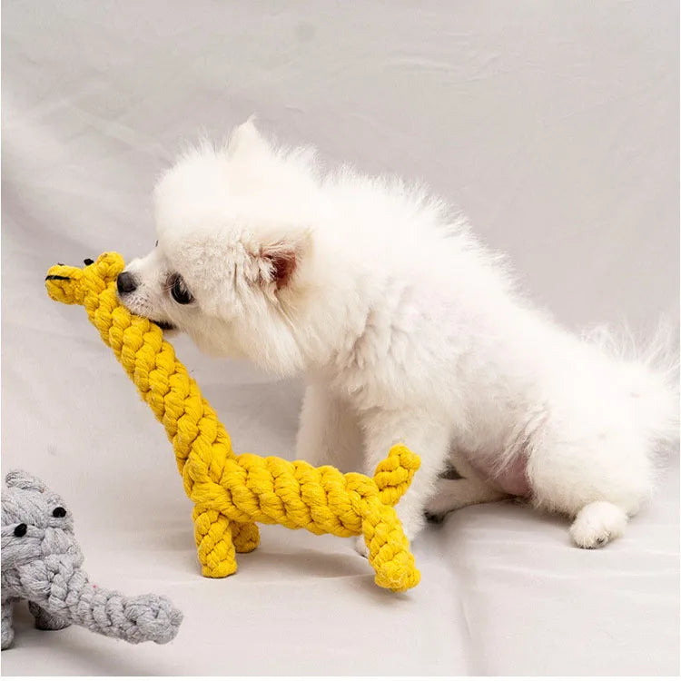 Knotty Fun Rope Ball