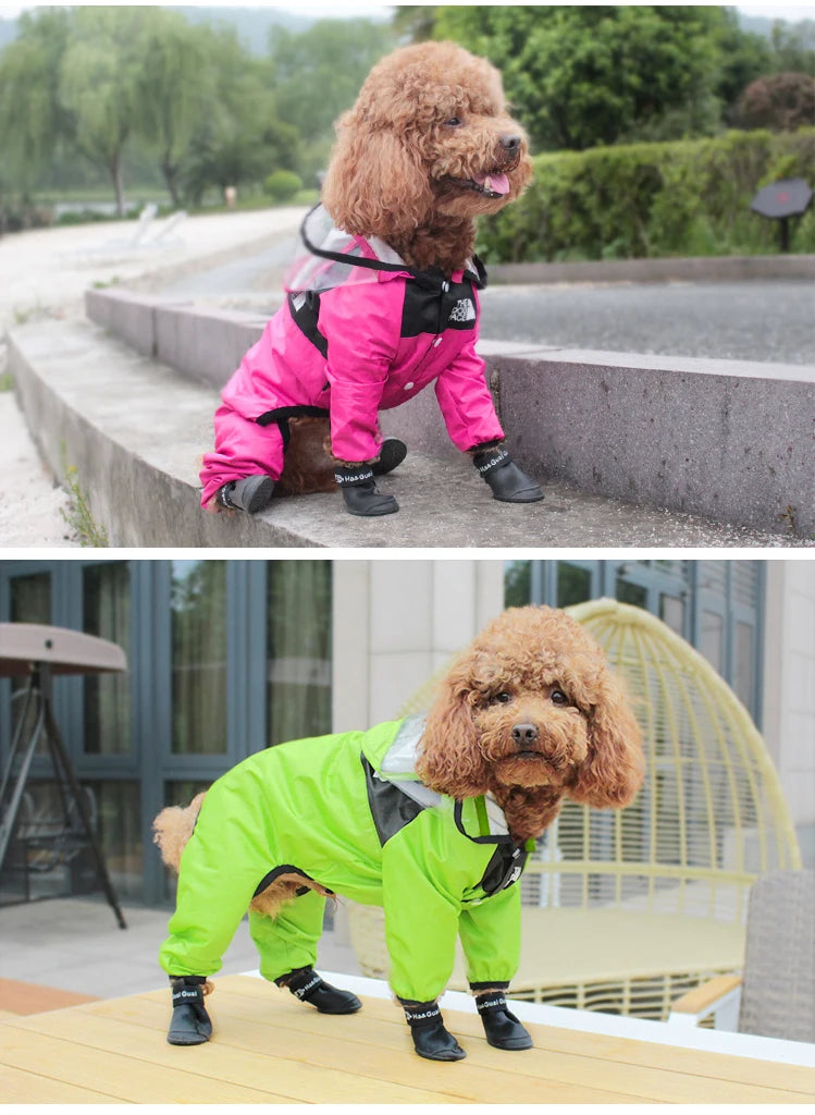 Rainy Day Adventure Coat