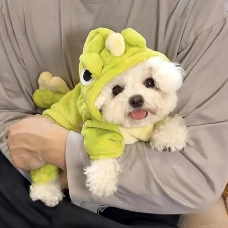 Dino Snuggle Jumpsuit