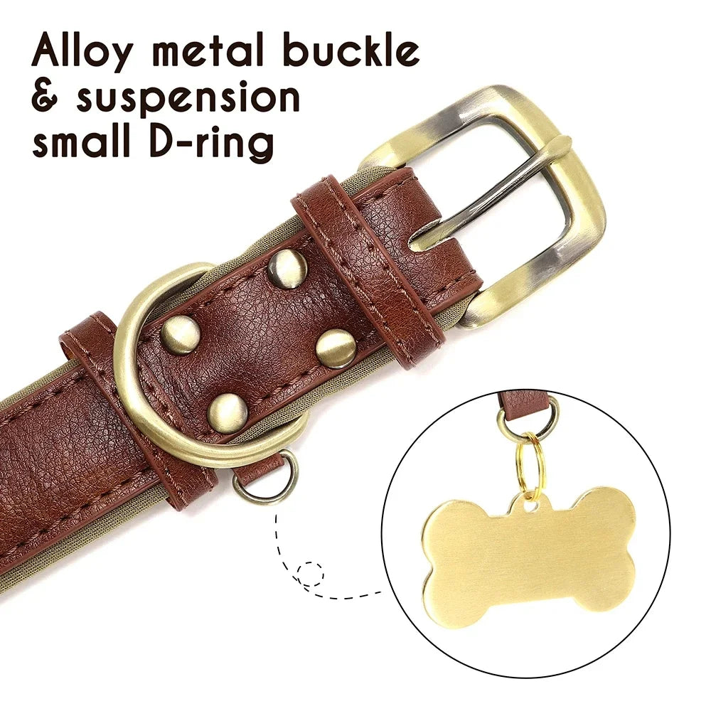 🐾 Forever Home Personalized Collar