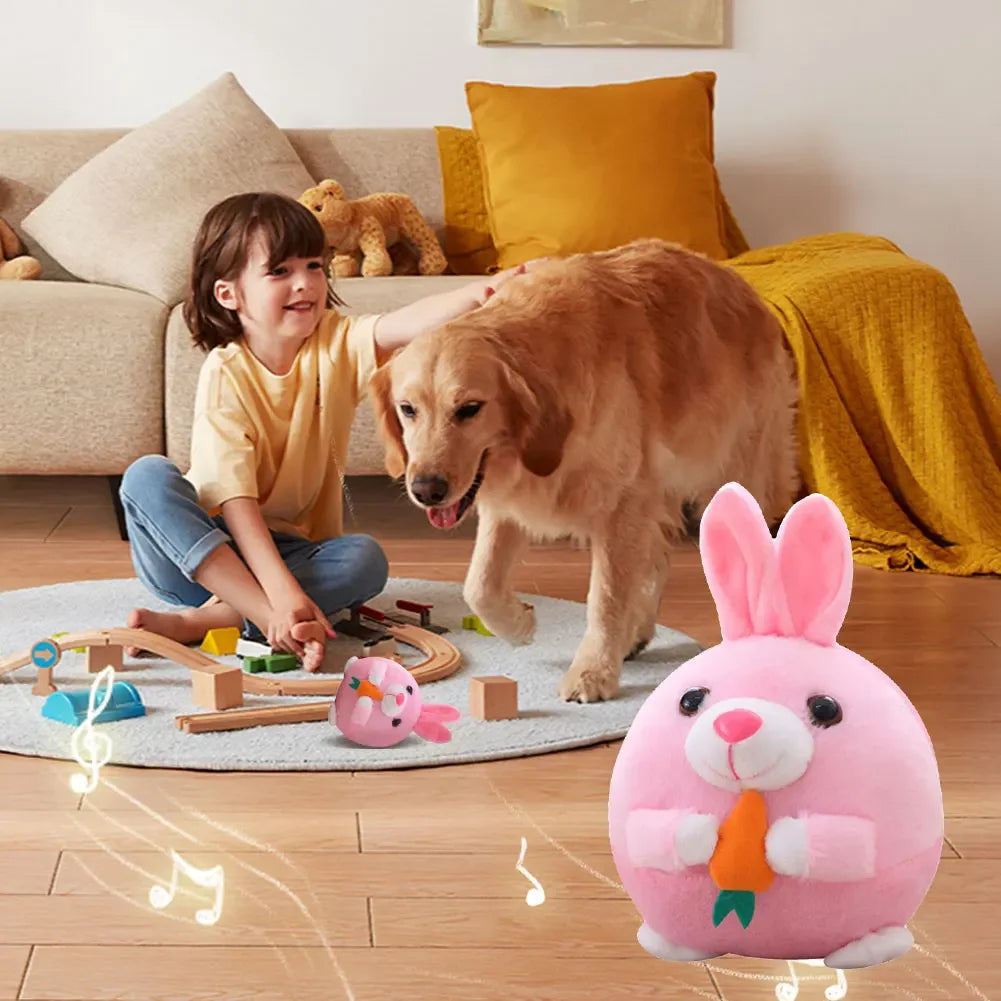Bounce Buddy Motion Ball