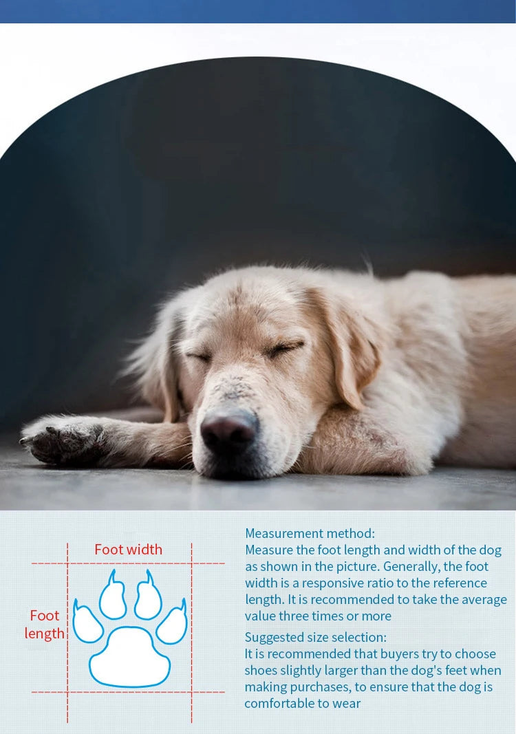 All-Weather Paw Protectors
