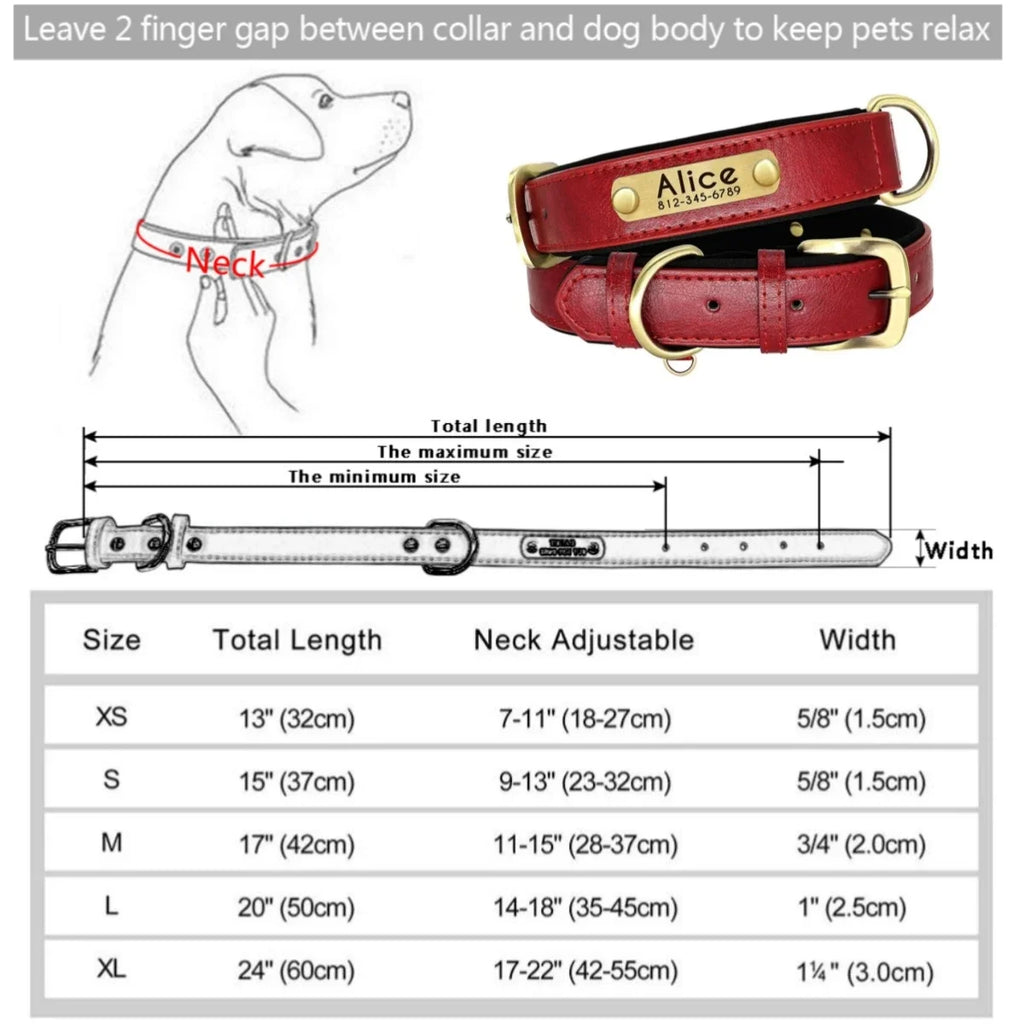 🐾 Forever Home Personalized Collar