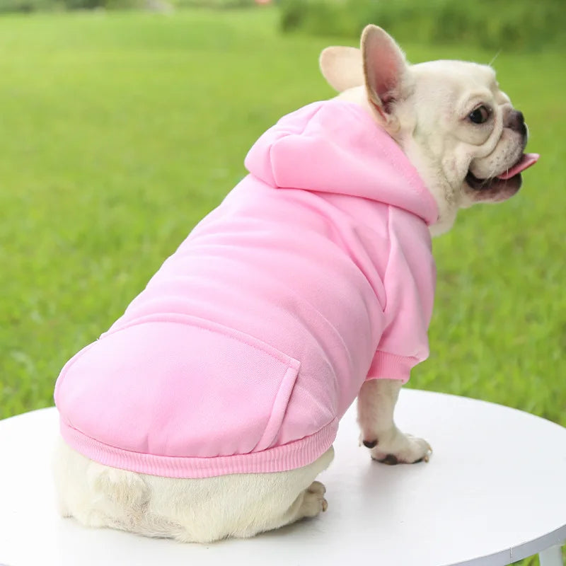 Cozy Companion Hoodie