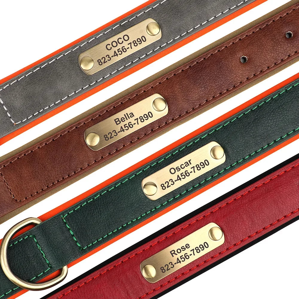 🐾 Forever Home Personalized Collar