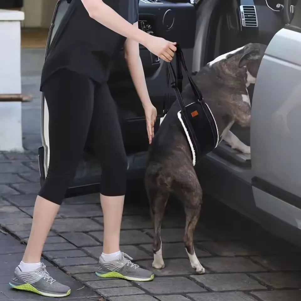 PawLift Mobility Support Sling