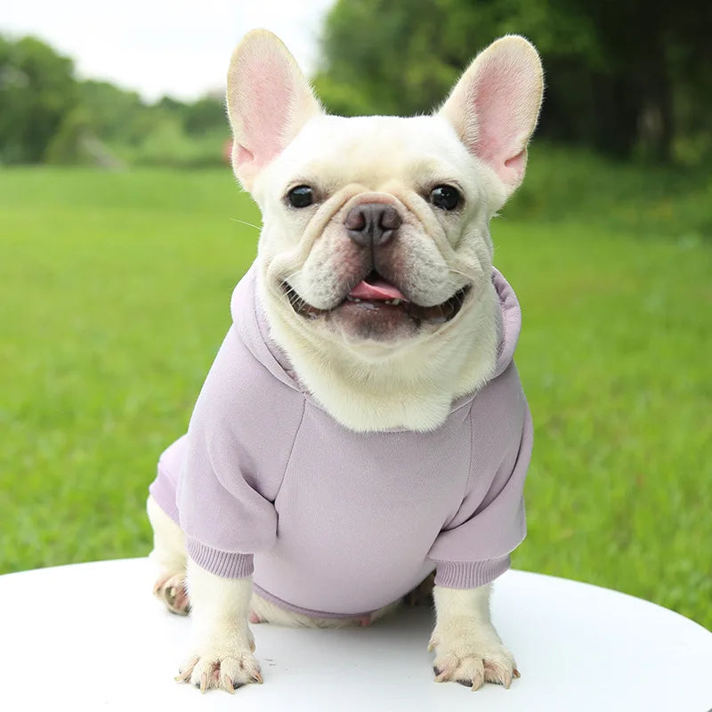 Cozy Companion Hoodie