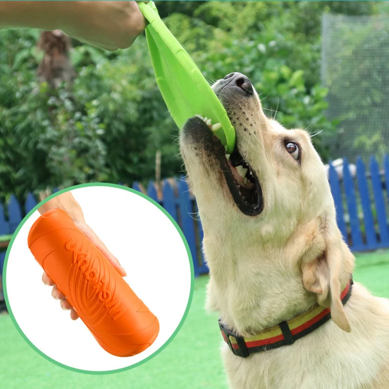 Sky Chase Flying Disc