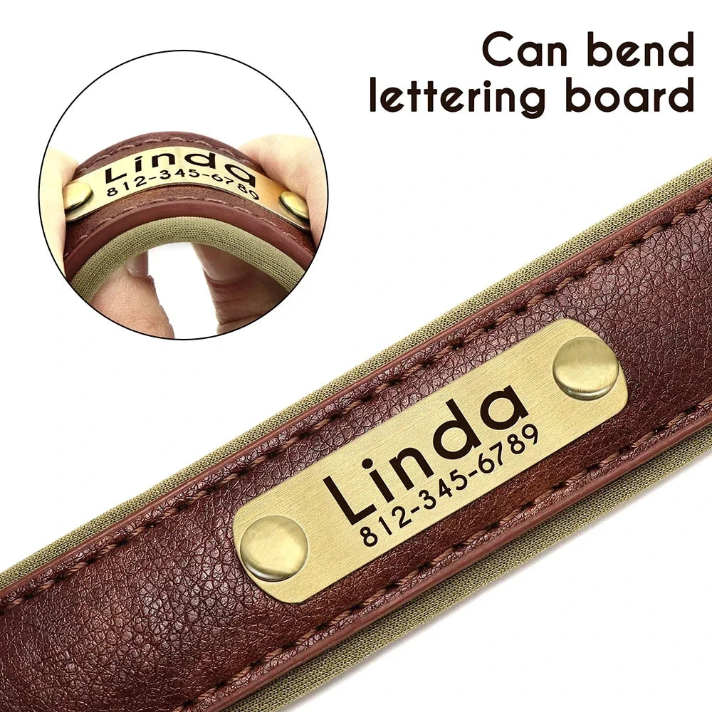 🐾 Forever Home Personalized Collar