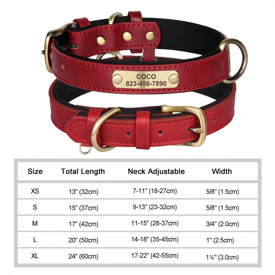 🐾 Forever Home Personalized Collar