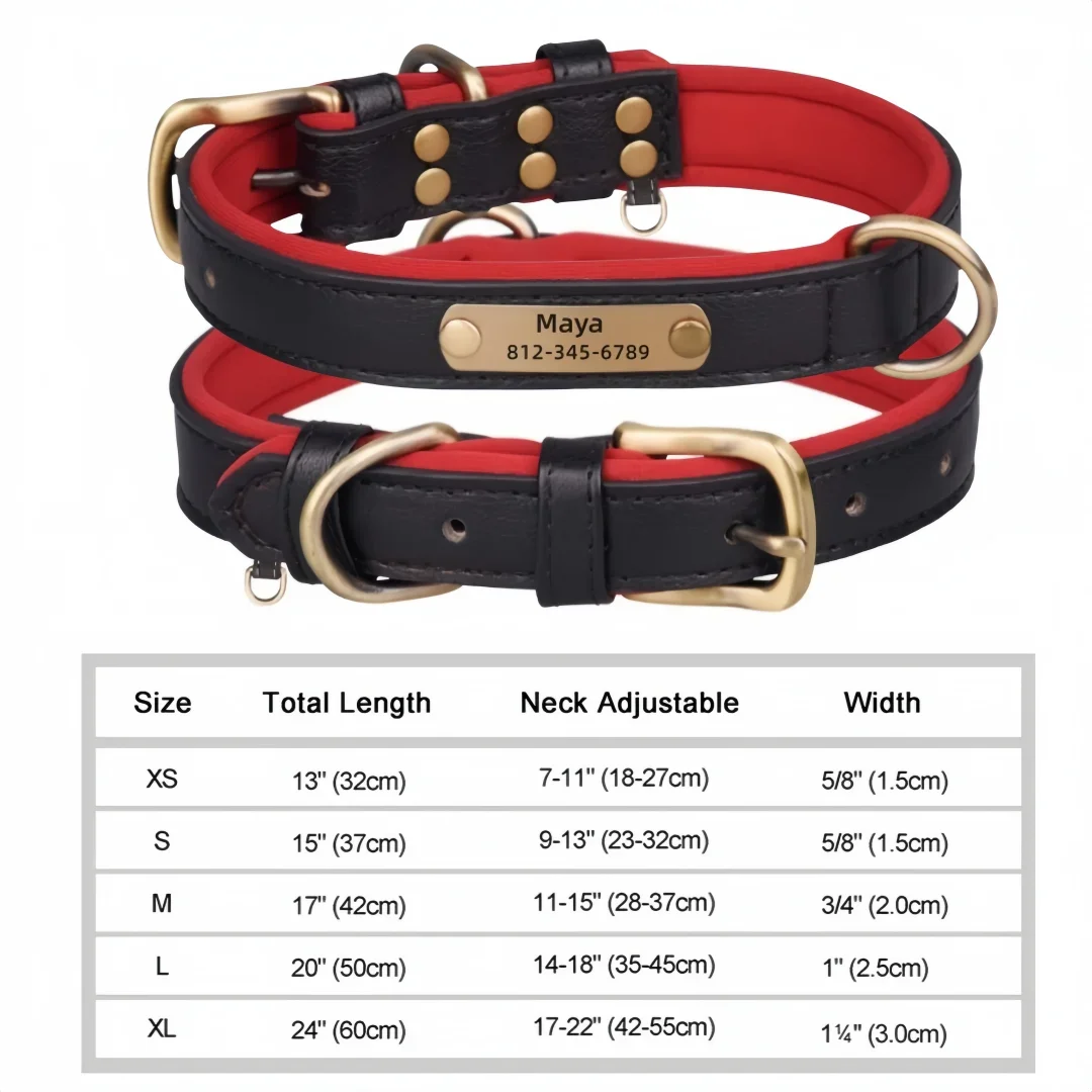 🐾 Forever Home Personalized Collar