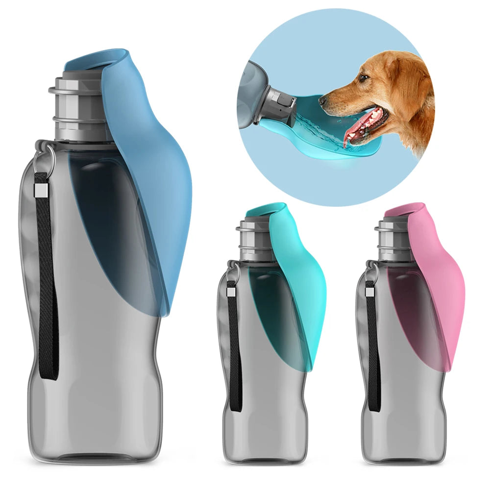 Pawdration On the Go 800ml Water Bottle