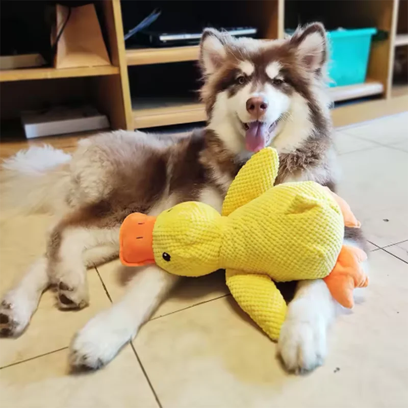 Quack Attack Plush Toy
