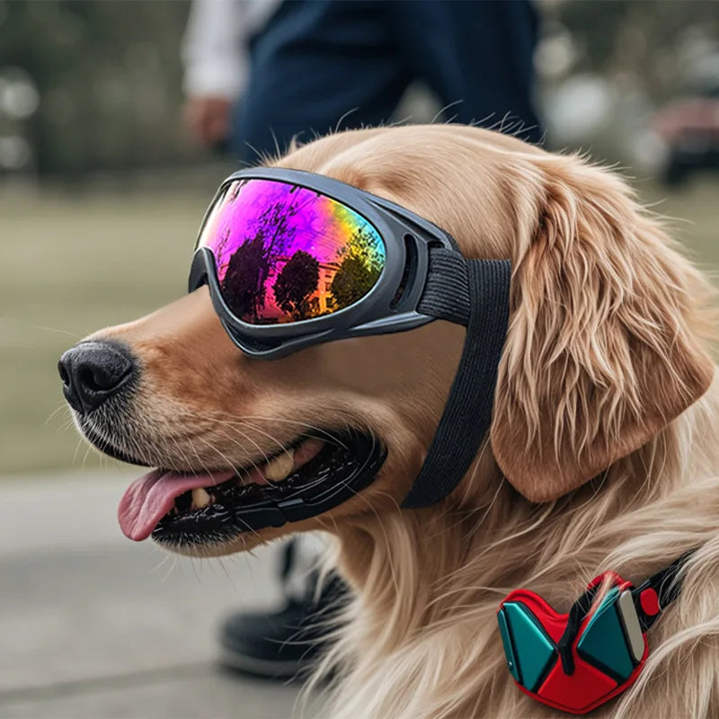 Pawshades™ Adventure Goggles