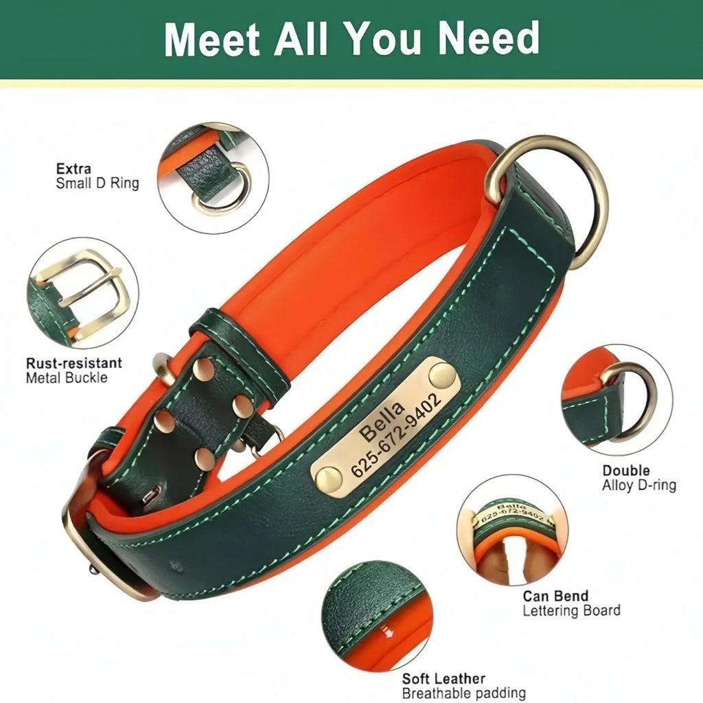 🐾 Forever Home Personalized Collar