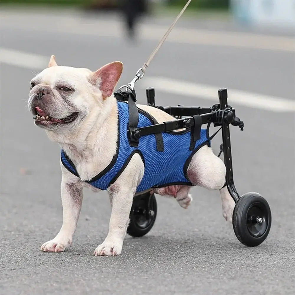 PawStride Recovery Wheels