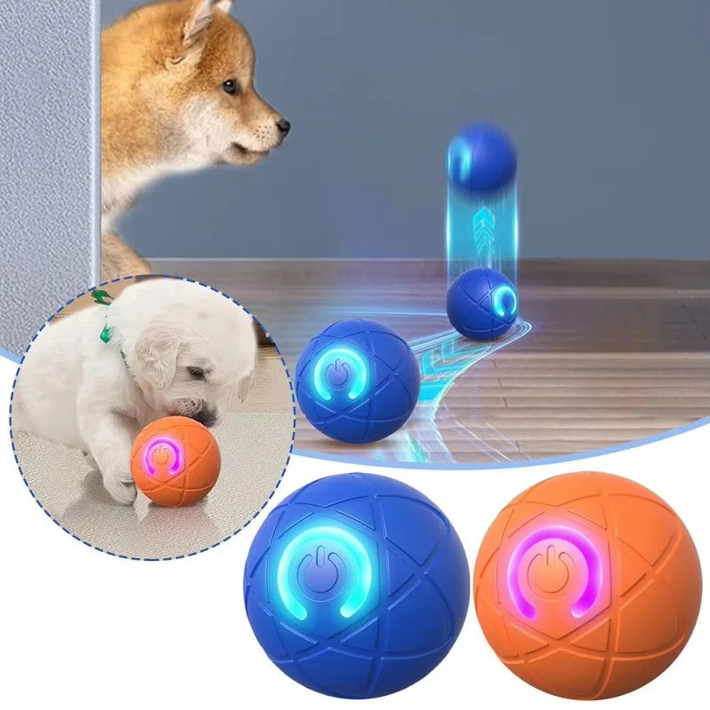 Paws in Motion Toy
