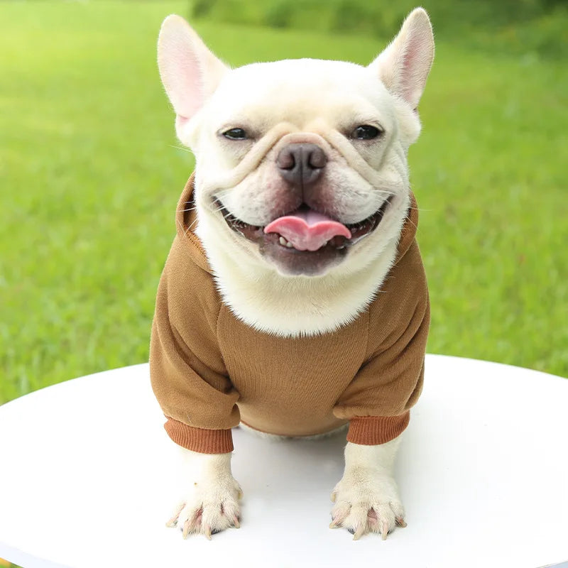Cozy Companion Hoodie