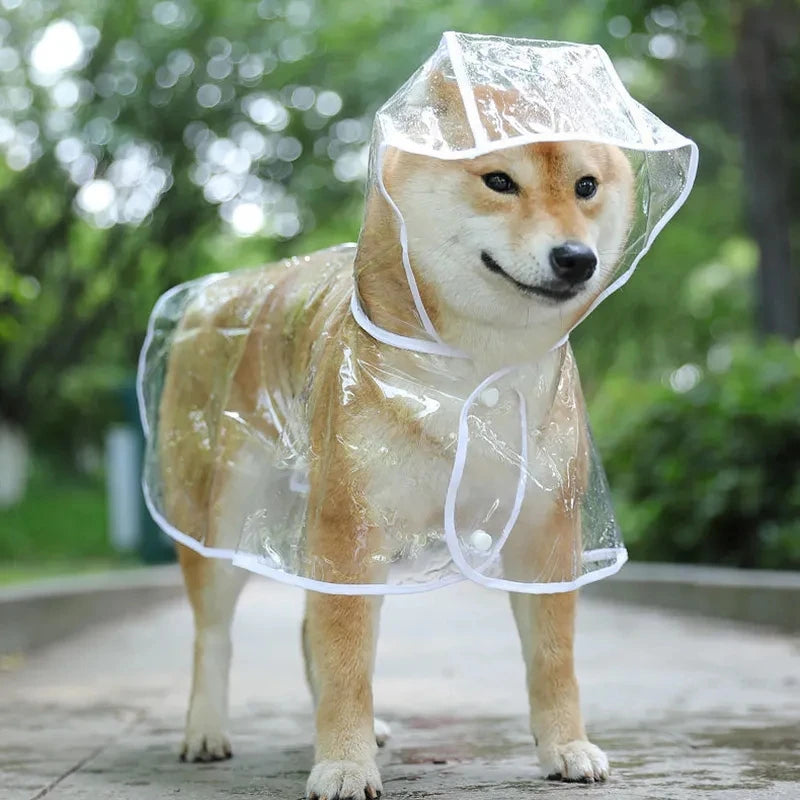 Rainy Day Pup Poncho