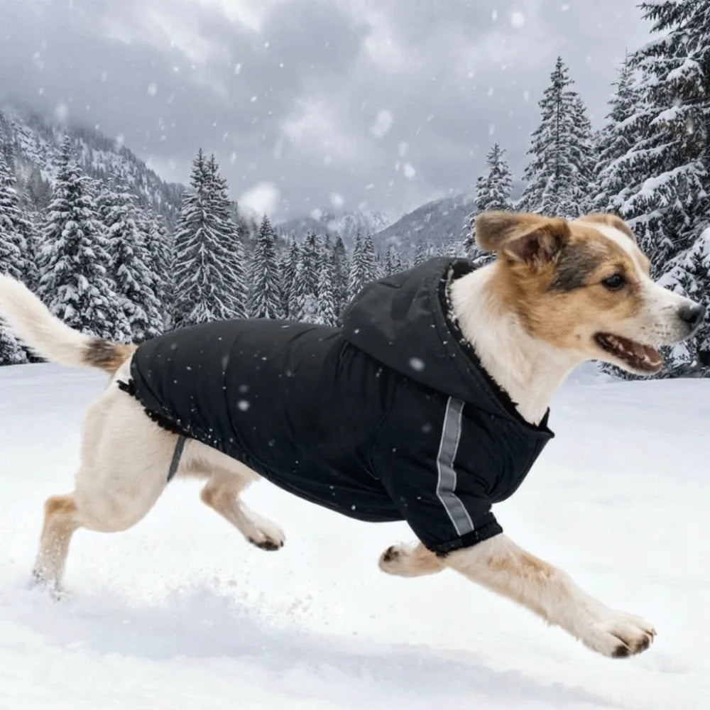 Toasty Tails Hooded Jacket