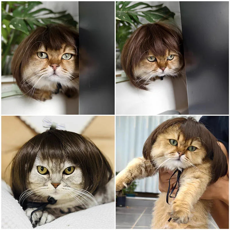 Paws & Giggles Wig Set