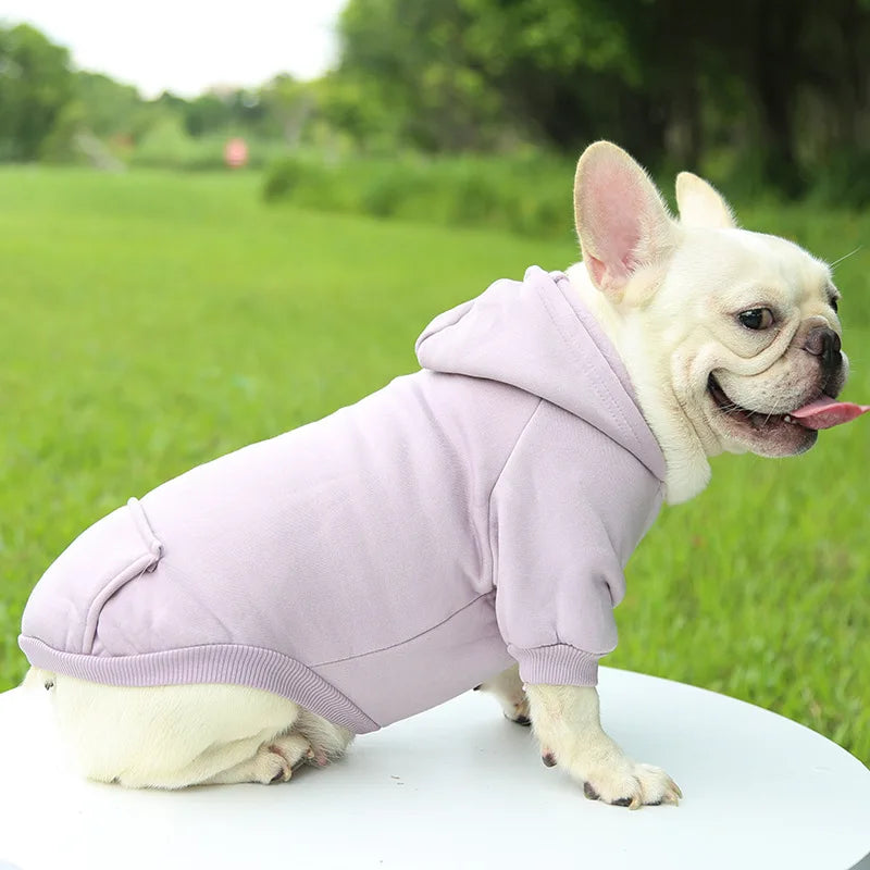 Cozy Companion Hoodie