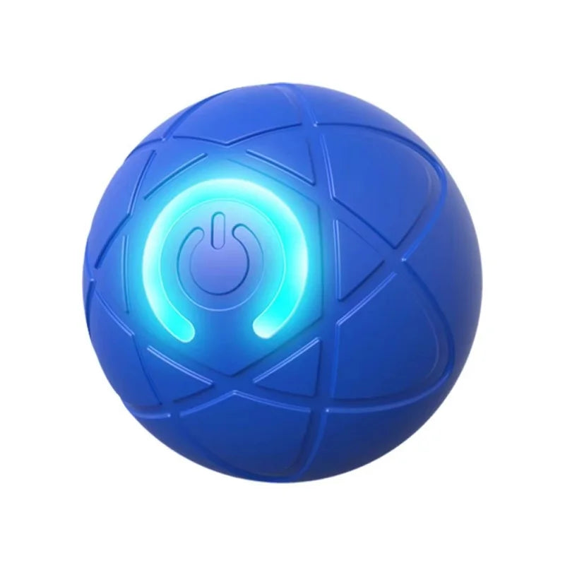 Paws in Motion Toy