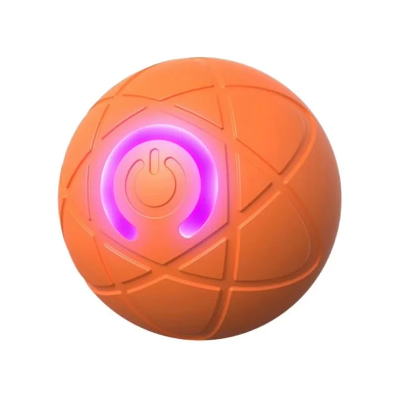 Paws in Motion Toy