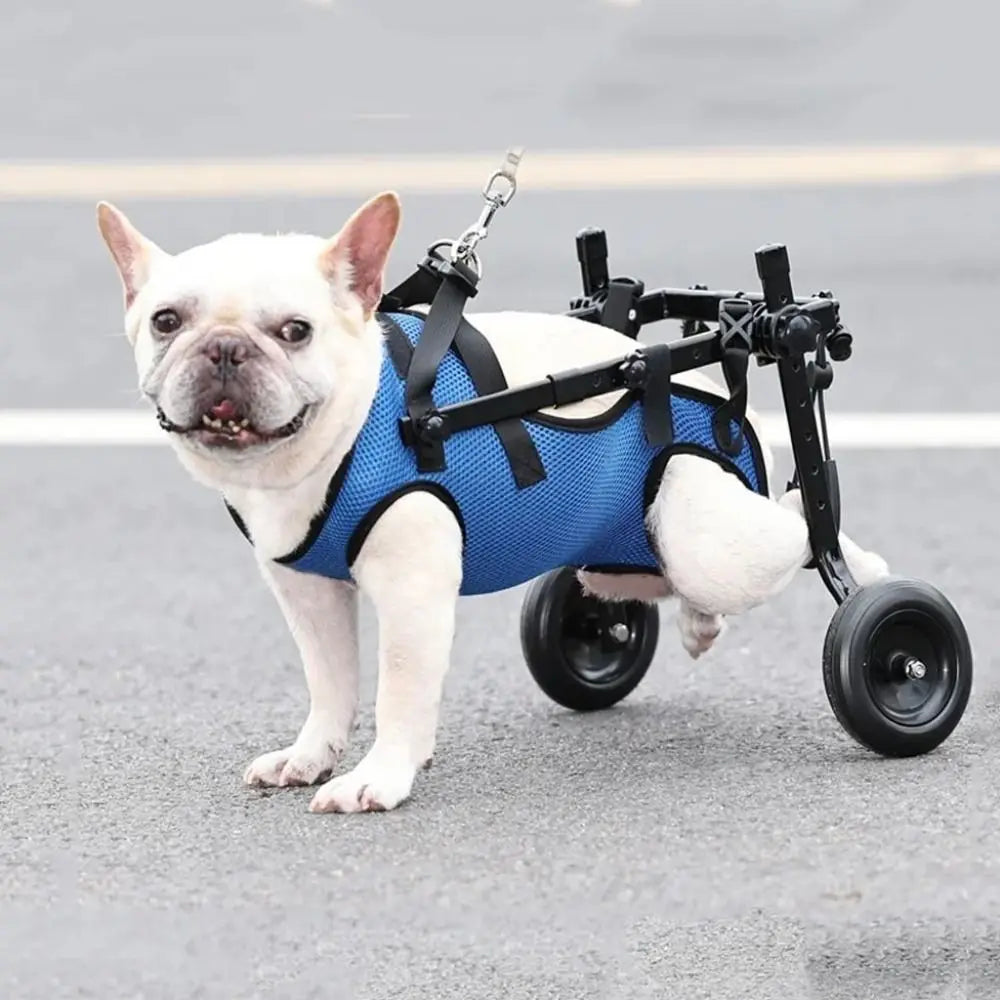 PawStride Recovery Wheels