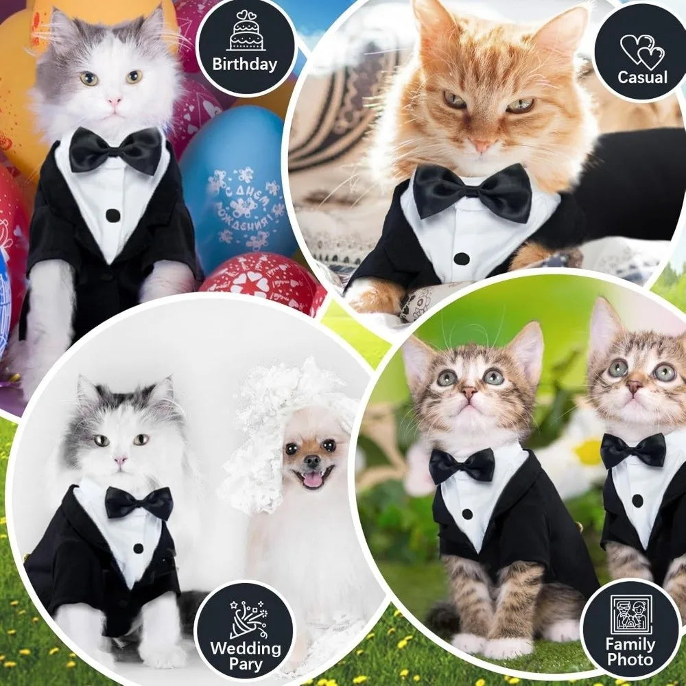 Fancy Paws Dress Vest