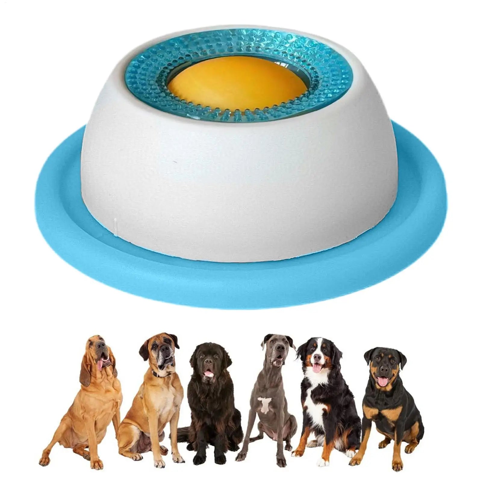Snack Quest Puzzle Feeder