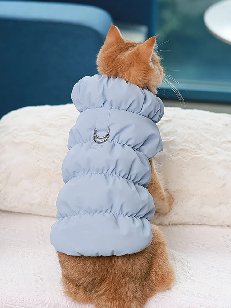 Pawfect Weather Coat