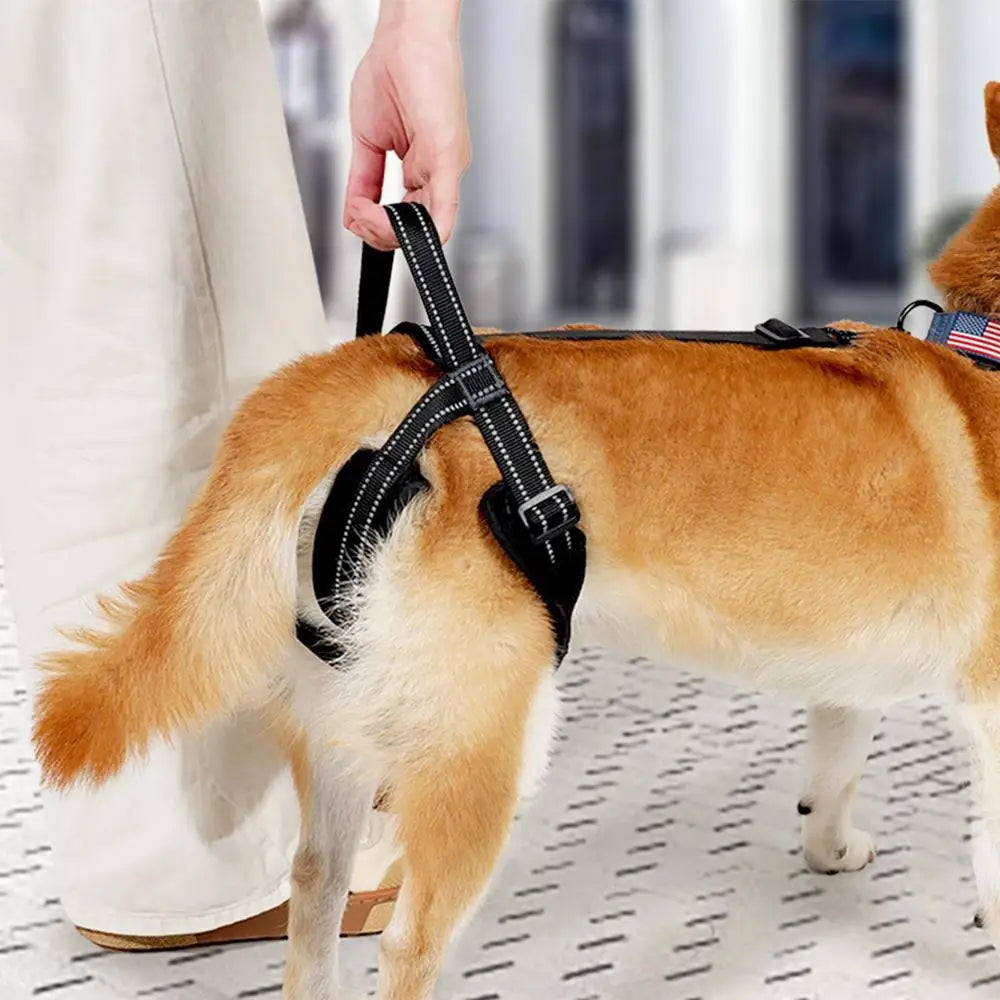 Dog Sling For Back Legs Comfortable Hip Support Harness With Reflective Strips Sturdy Handle Vest Harnesses Dog Lift Harness For
