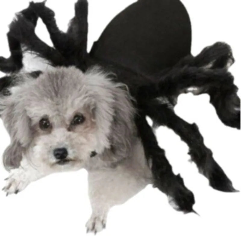Creepy Crawler Pet Costume