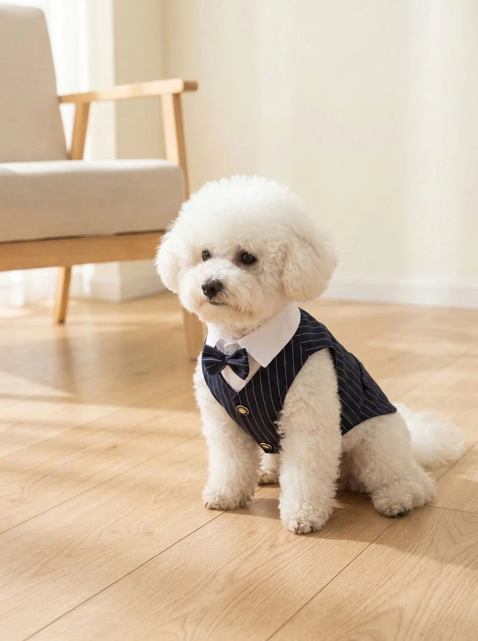 Dapper Paws Dress Shirt & Vest