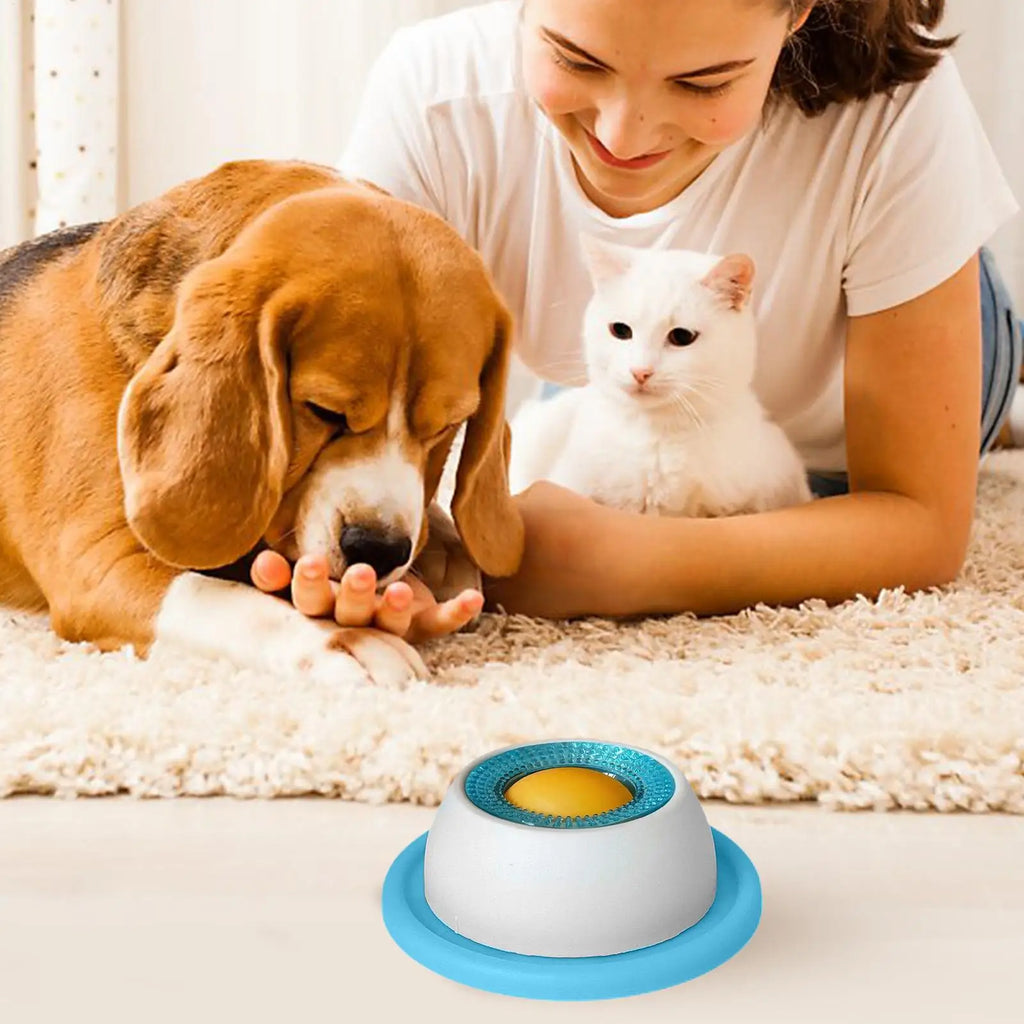 Snack Quest Puzzle Feeder