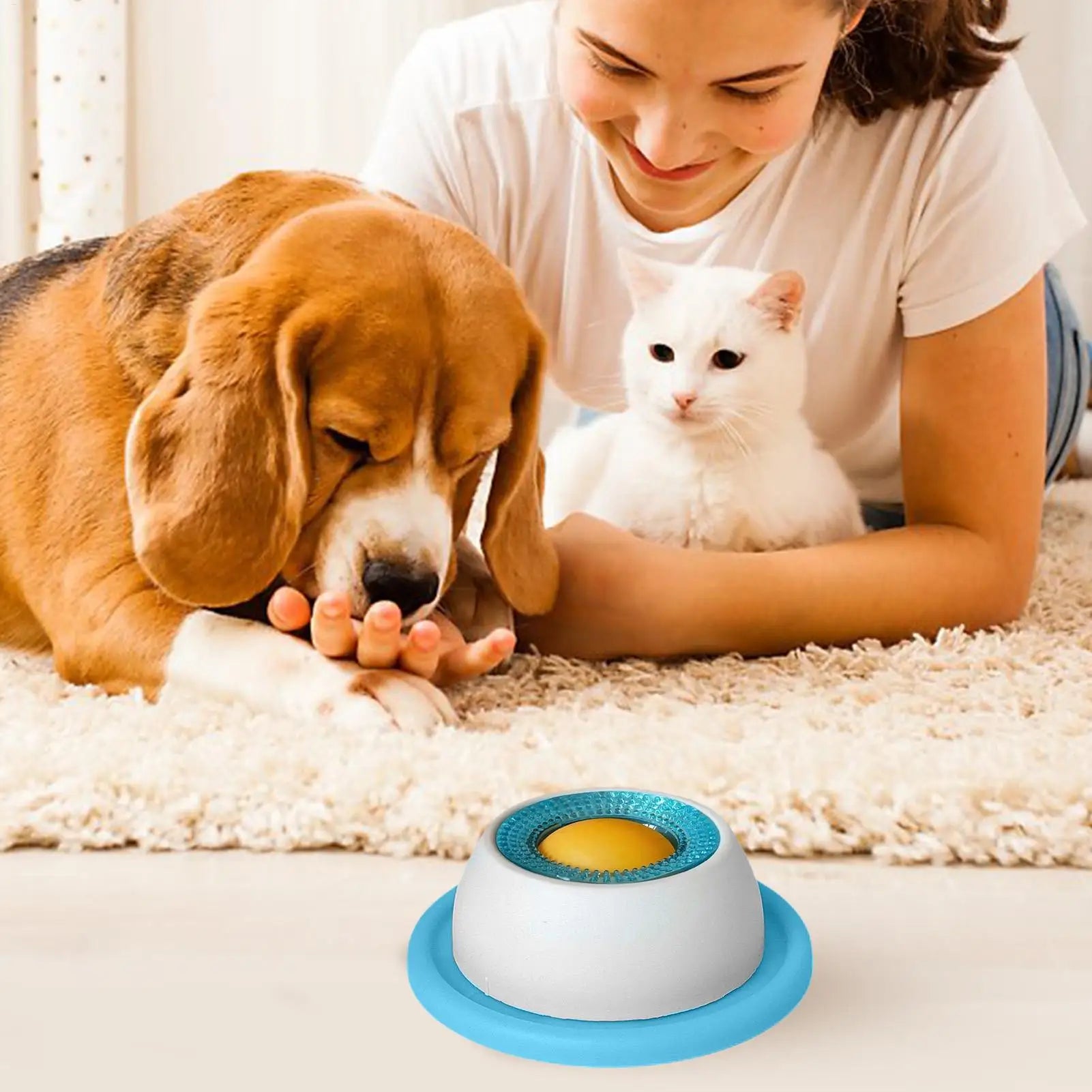 Snack Quest Puzzle Feeder