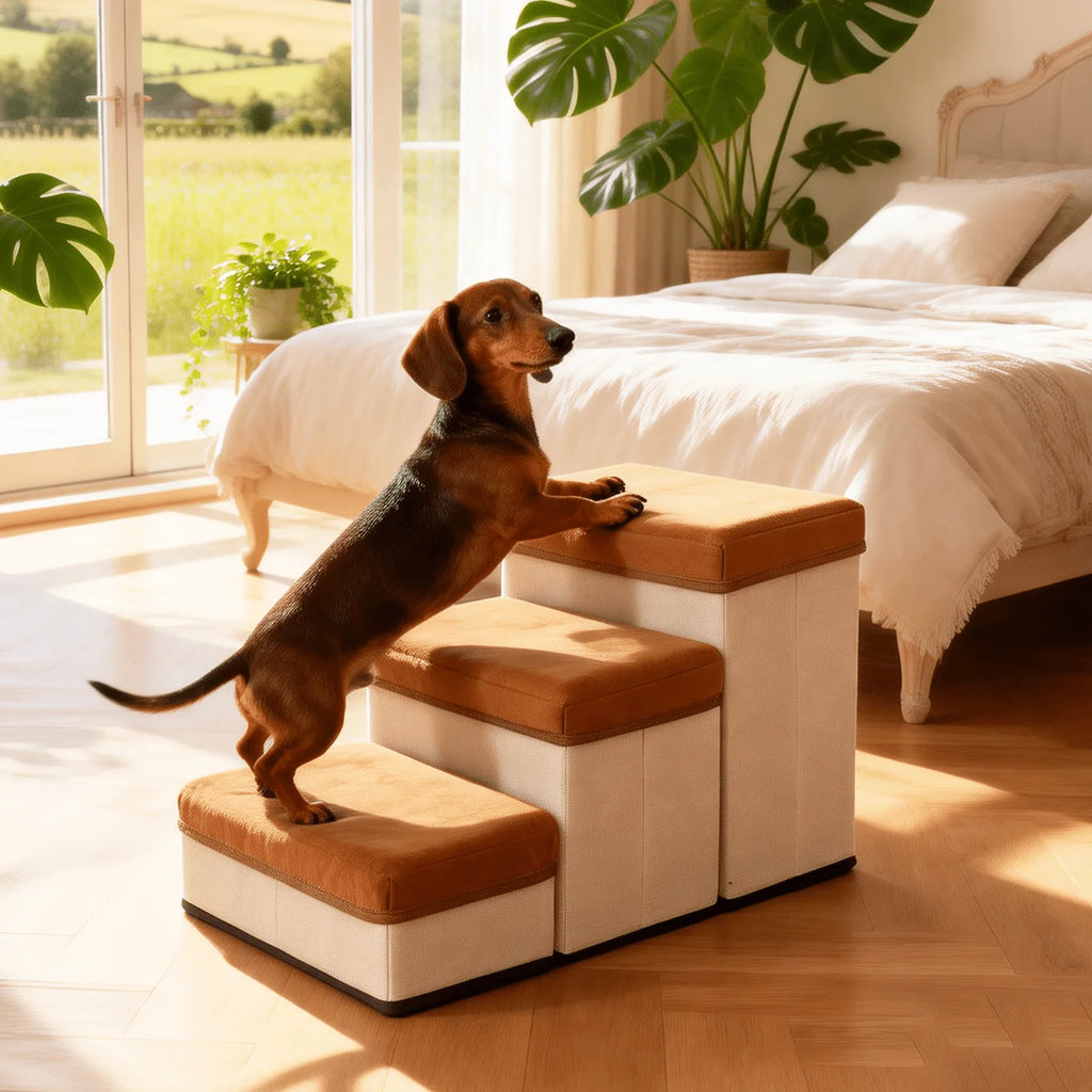 PawSteps Folding Stairs