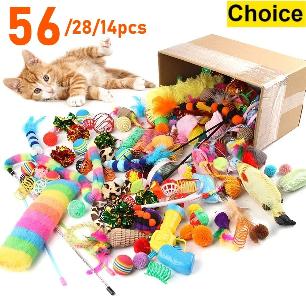 Kitty Adventure Toy Box