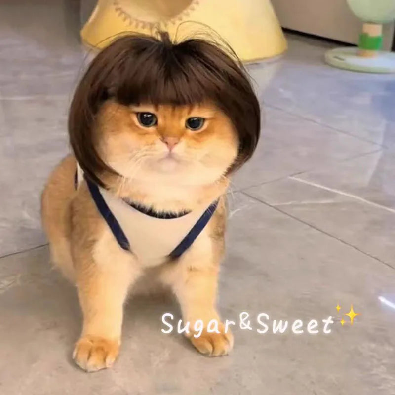Paws & Giggles Wig Set