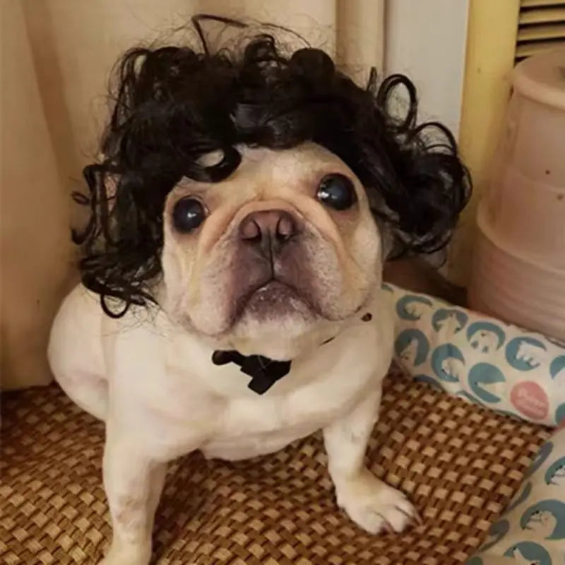 Paws & Giggles Wig Set