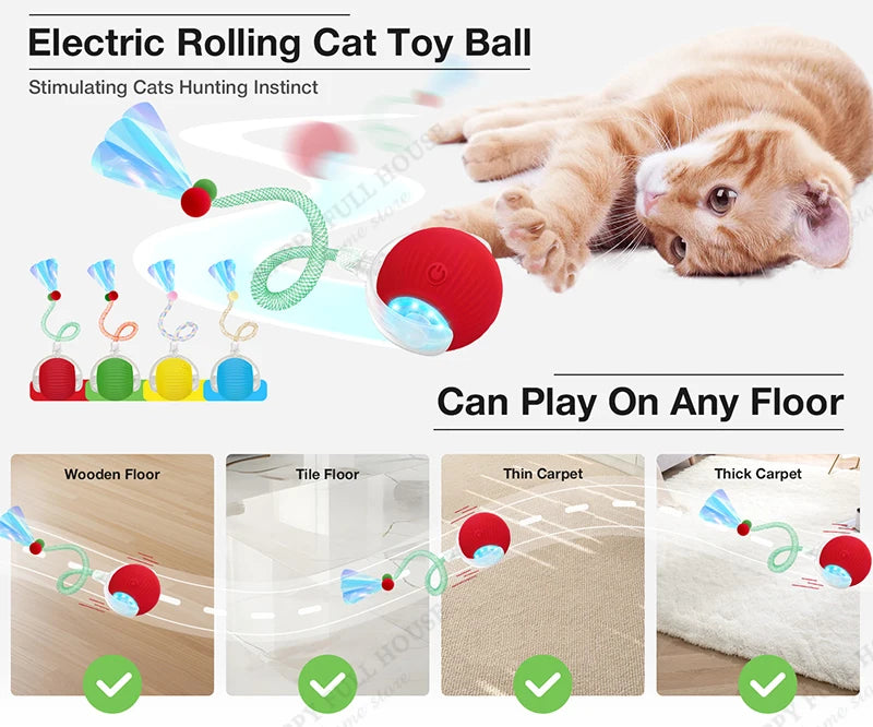 Zoomie Ball Interactive Toy