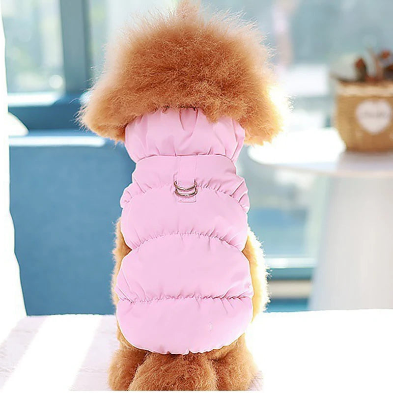 Pawfect Weather Coat