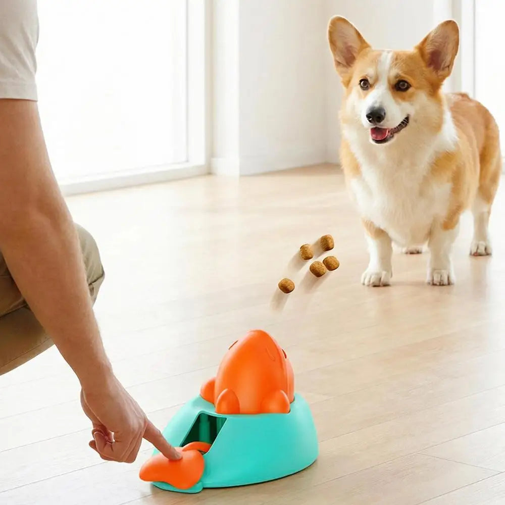 Treasure Hunt Treat Toy