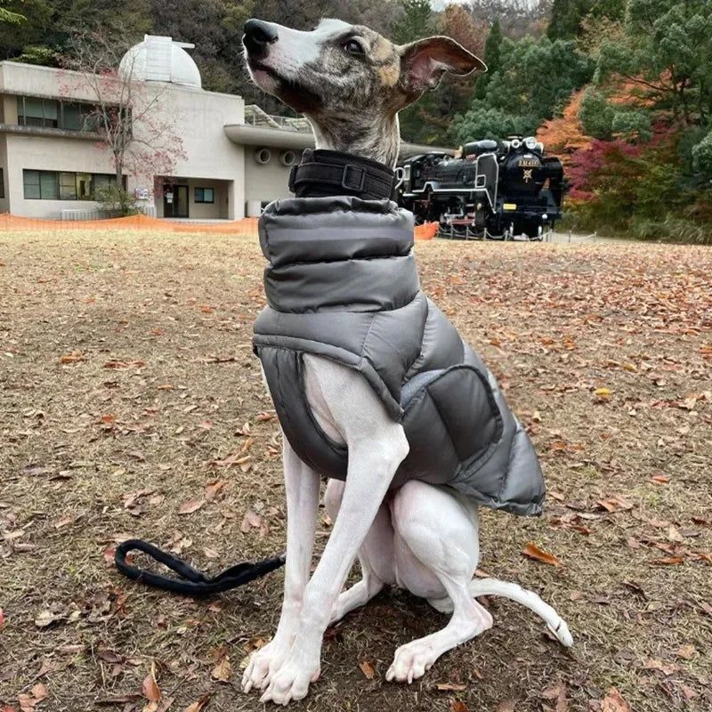 Snow Day Puffer Vest