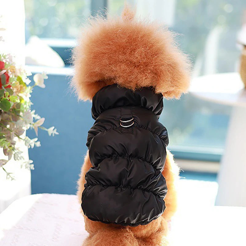 Pawfect Weather Coat