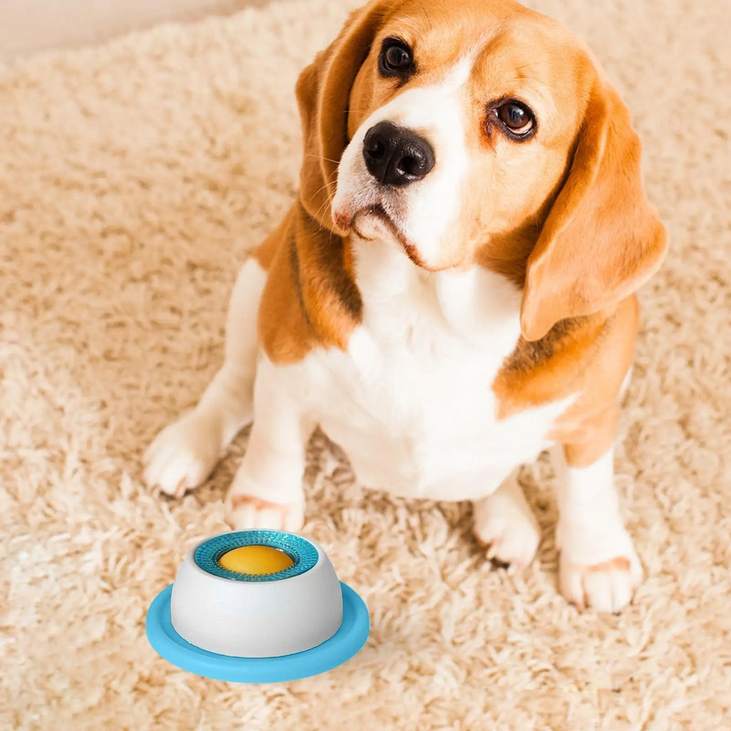 Snack Quest Puzzle Feeder
