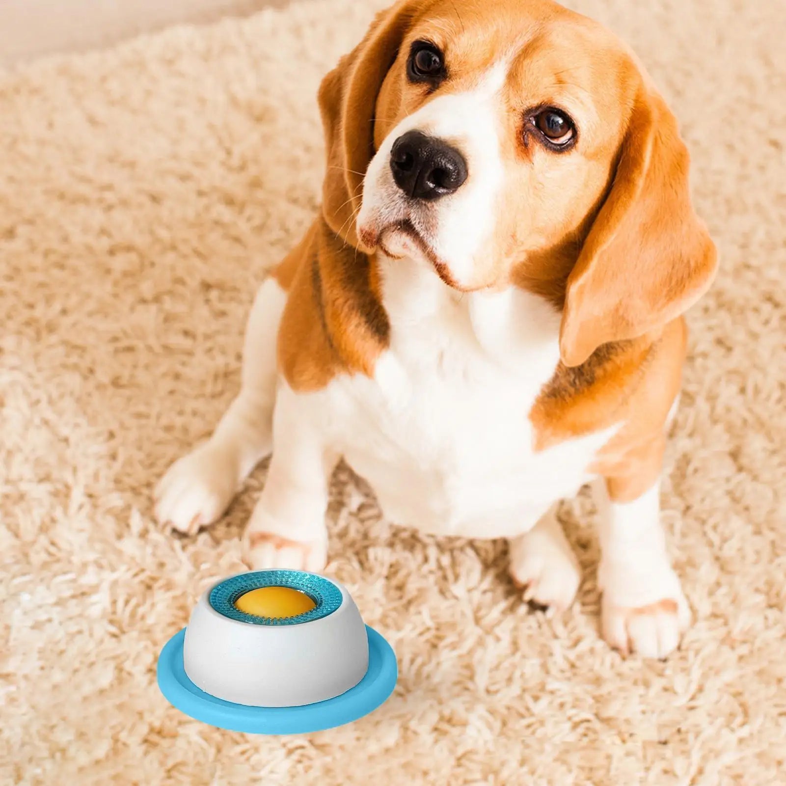 Snack Quest Puzzle Feeder